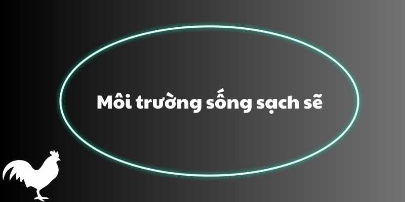 Môi trường sống sạch sẽ