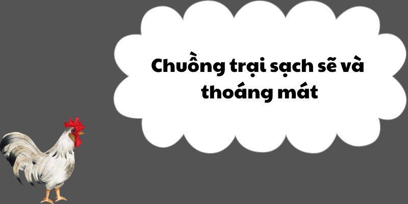 Chuồng trại sạch sẽ và thoáng mát