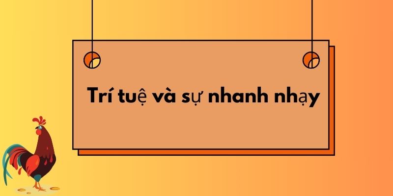 Trí tuệ và sự nhanh nhạy