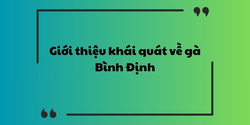 Giới thiệu khái quát về gà Bình Định