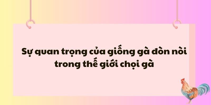 Sự quan trọng của giống gà đòn nòi trong thế giới chọi gà