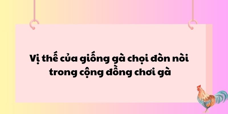 Vị thế của giống gà chọi đòn nòi trong cộng đồng chơi gà