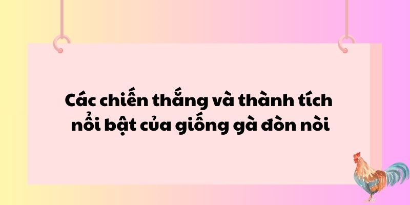 Các chiến thắng và thành tích nổi bật của giống gà đòn nòi