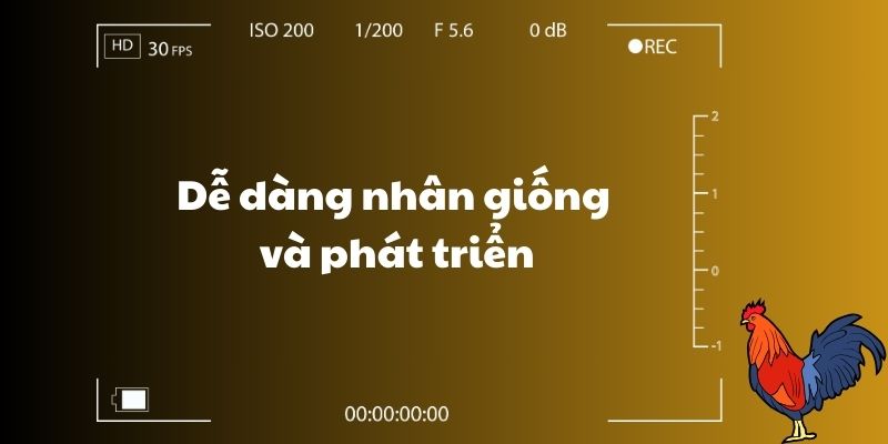 Dễ dàng nhân giống và phát triển