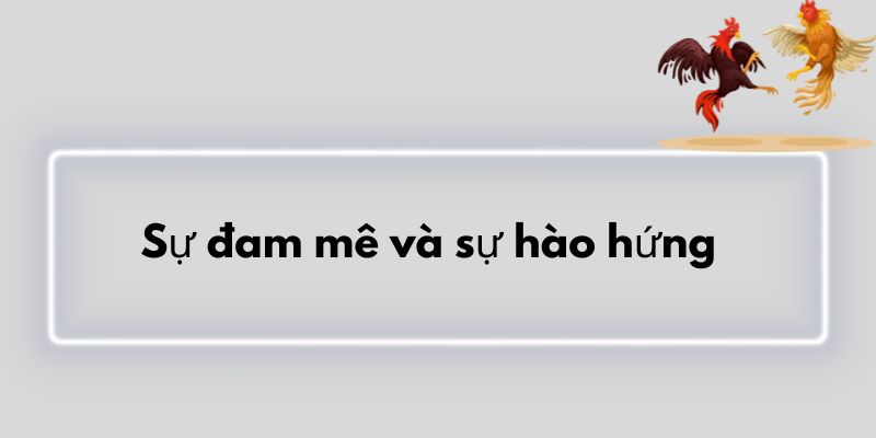 Sự đam mê và sự hào hứng