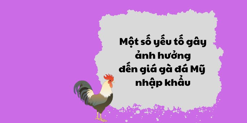 Một số yếu tố gây ảnh hưởng đến giá gà đá Mỹ nhập khẩu