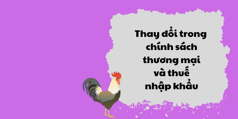 Thay đổi trong chính sách thương mại và thuế nhập khẩu