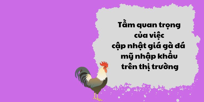 Tầm quan trọng của việc cập nhật giá gà đá mỹ nhập khẩu trên thị trường